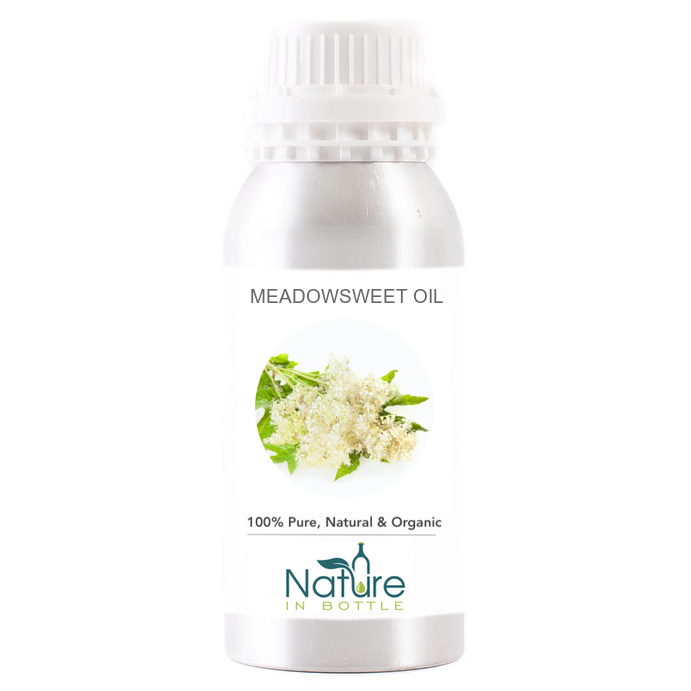 Image of White meadowsweet essential oil