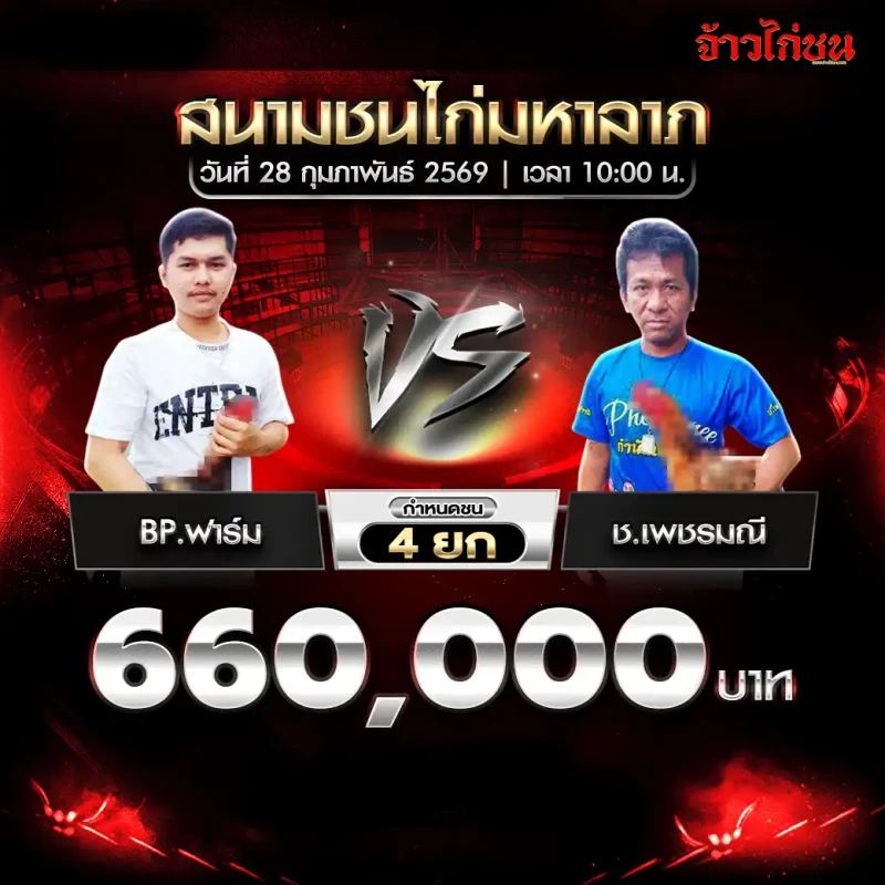 โปรแกรมไก่ชน สนามชนไก่มหาลาภ 28 กุมภาพันธ์ 2569 คู่ BP.ฟาร์ม vs ช.เพชรมณี เงินรางวัล 660,000 บาท
