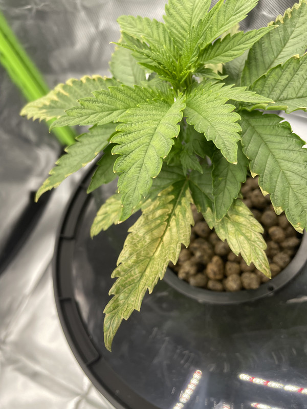 93EB9E31-B388-4C4B-8F0A-C448E8C3E5B6