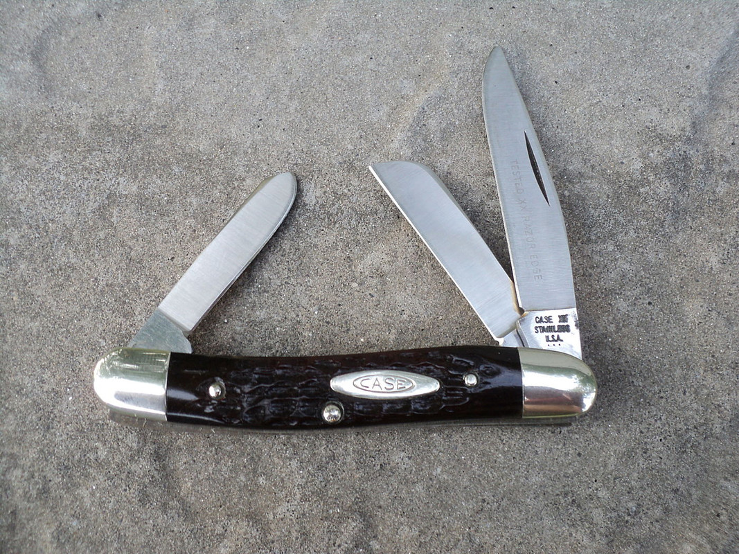 Case_6318_HP_SSP_-_1977_bone.jpg