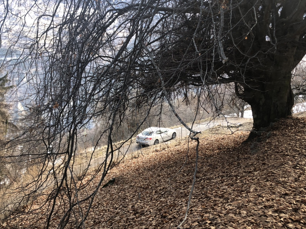 D7F3FFE0-1AEA-450E-B1D9-EF26B490F2F8