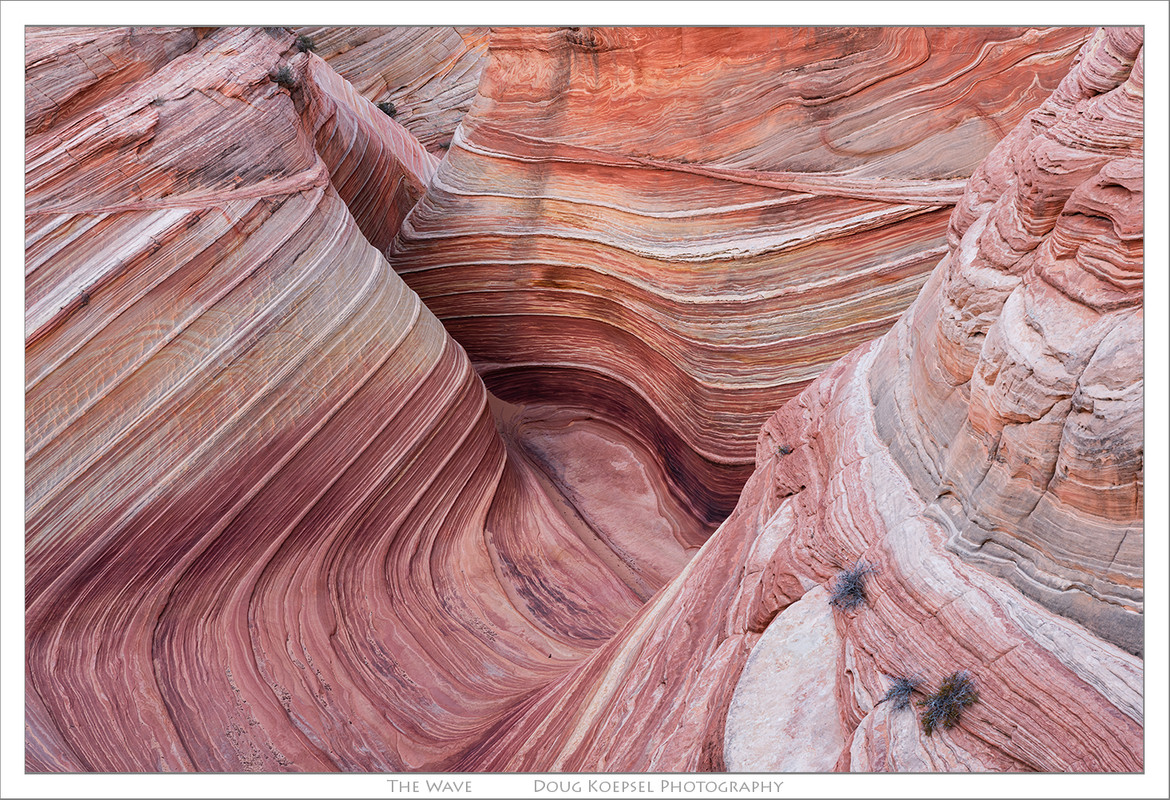 Ed1400-2x3TopazNIK24-26ZS PMax