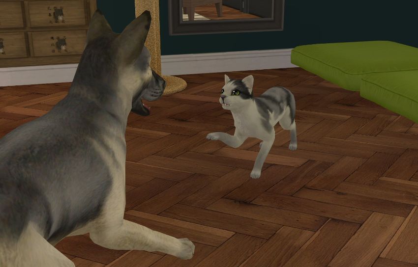 Sims2-EP9-2021-01-25-19-31-30-04