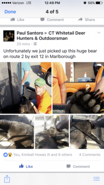 24160-103278-img_0032