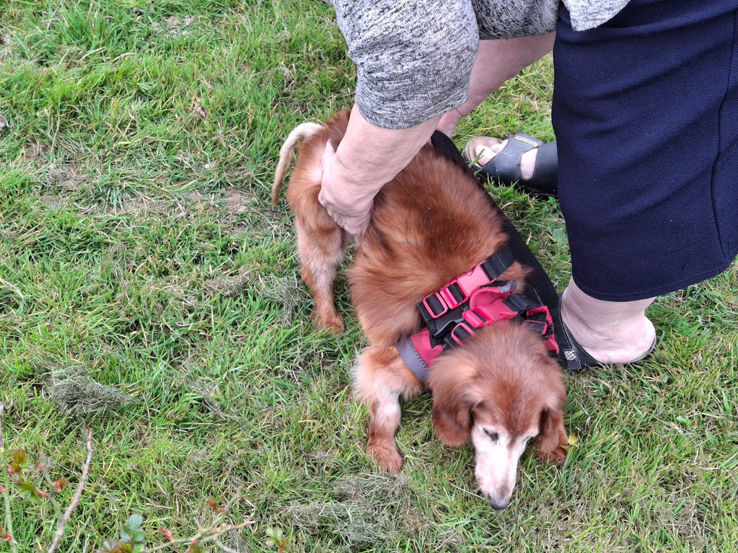 [Image: IMG-20250309-WA0005.jpg]