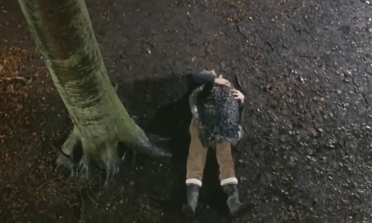 vlcsnap-2018-05-30-18h42m19s955