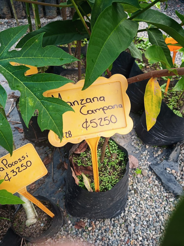 IMG_20221124_161751_386