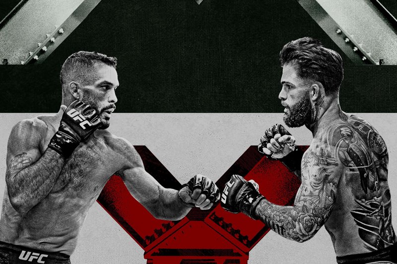 Резултати от UFC Fight Night 188