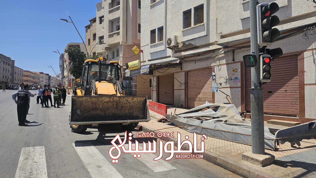 494818570-598857143226451-3529057158658535606-n