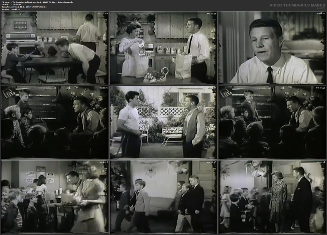 The Adventures of Ozzie and Harriet 11x06 The Tigers Go to a Dance.mkv