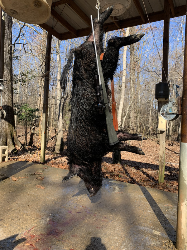 87850A3F-7809-43C4-9639-665225EEF898