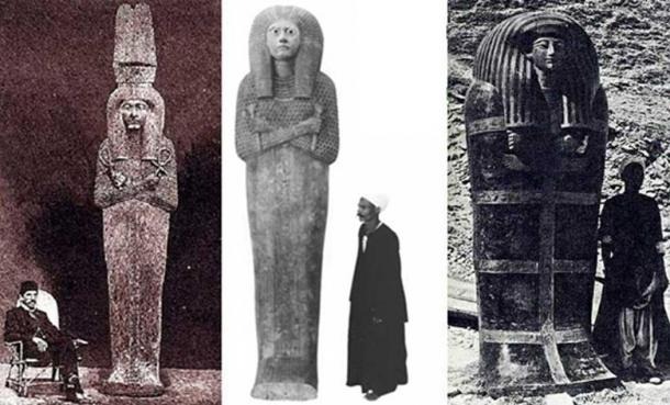 Loss of Ancient Giants: Counting the Cost