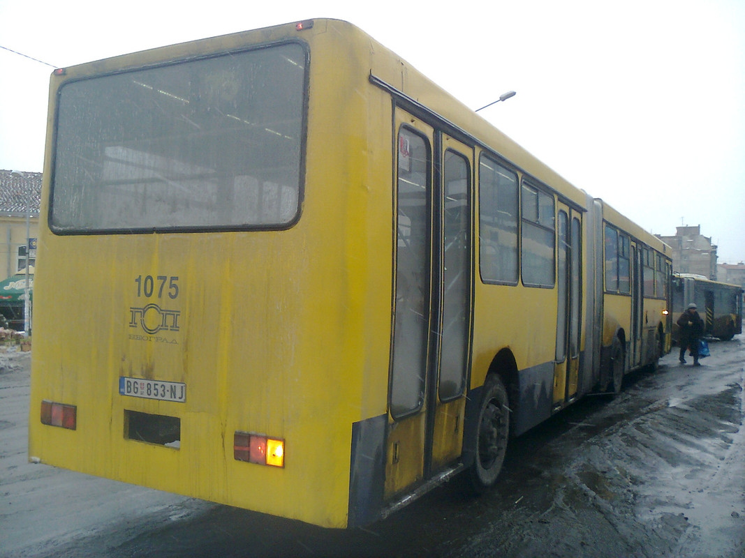 Slika42816