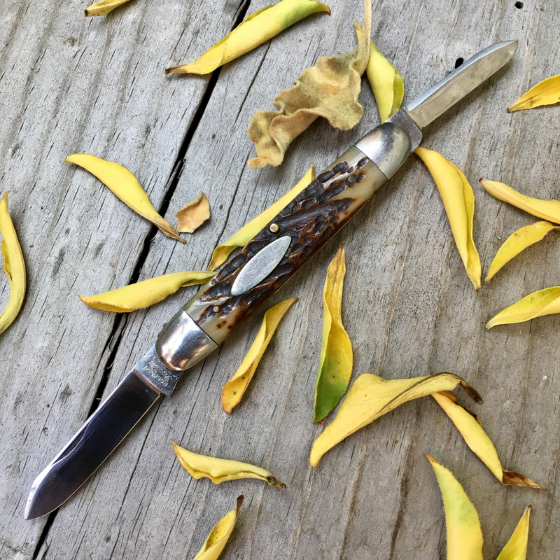 9A362438-D936-4AC7-8CF4-E354A0E07F48