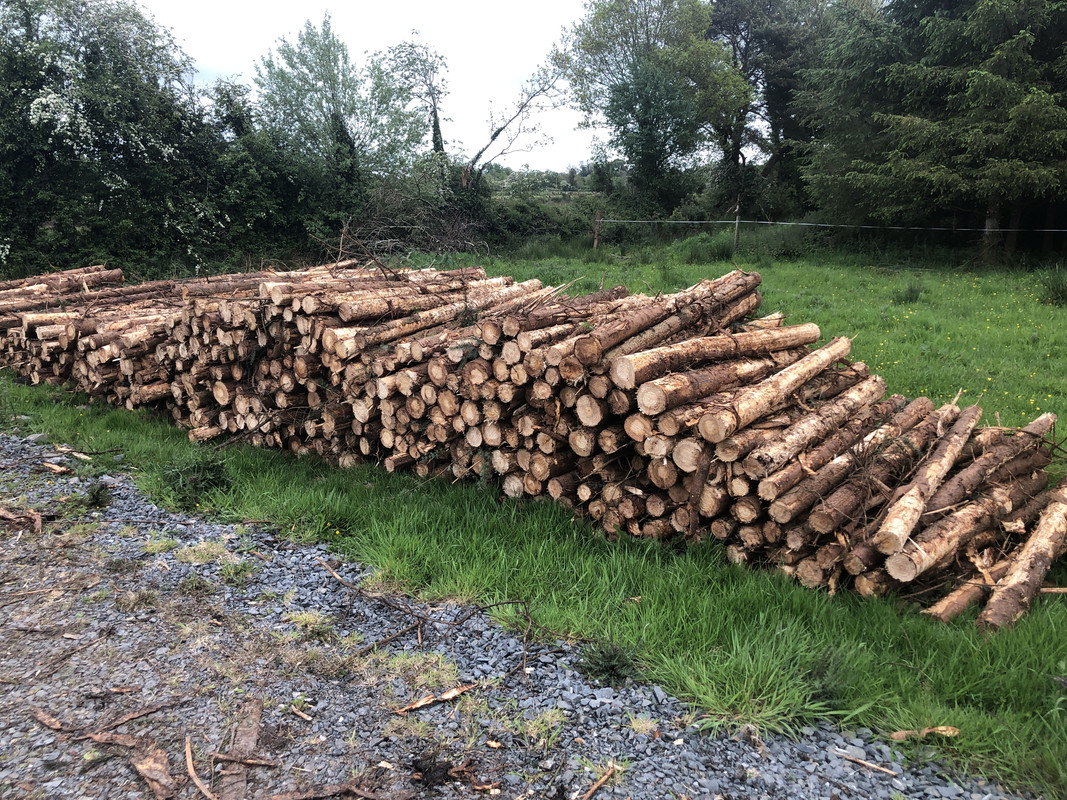 62D1A448-40FD-4824-86B5-474F865E4FFE