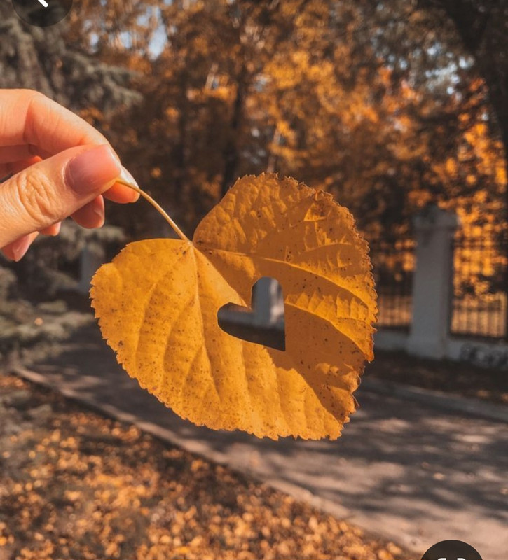 Screenshot_20240210_224203_Pinterest