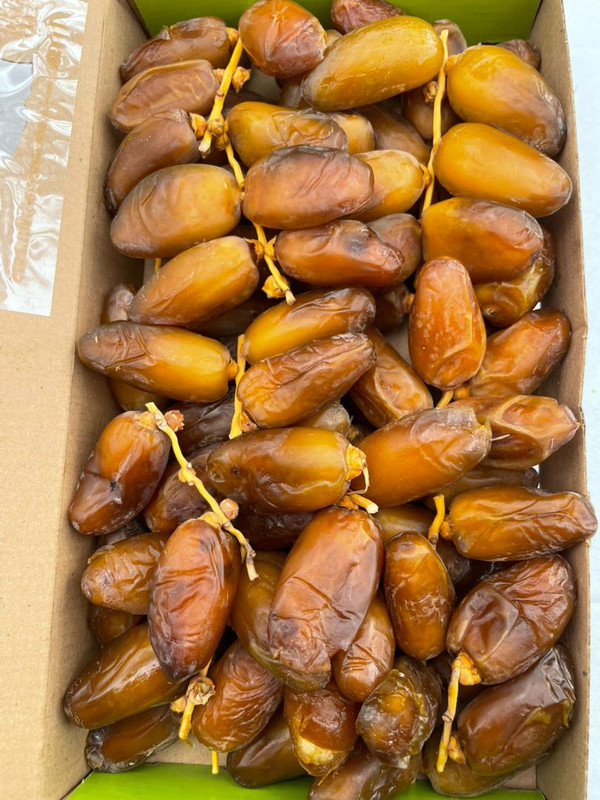 Deglet Nour on the Branch thumbnail 3