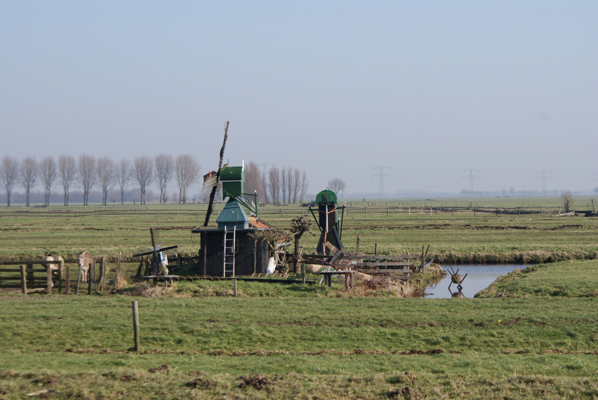 Pieter, Het Haantje (Verdwenen) 04 Bleskensgraaf 02-04-2020