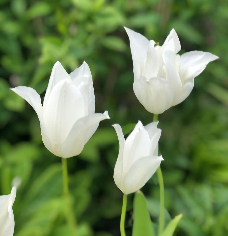 IMG 20260410 085431 169