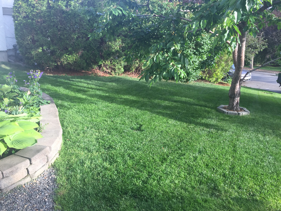 7AB9EA2F-3AD4-4D32-B628-EB82F7748F57