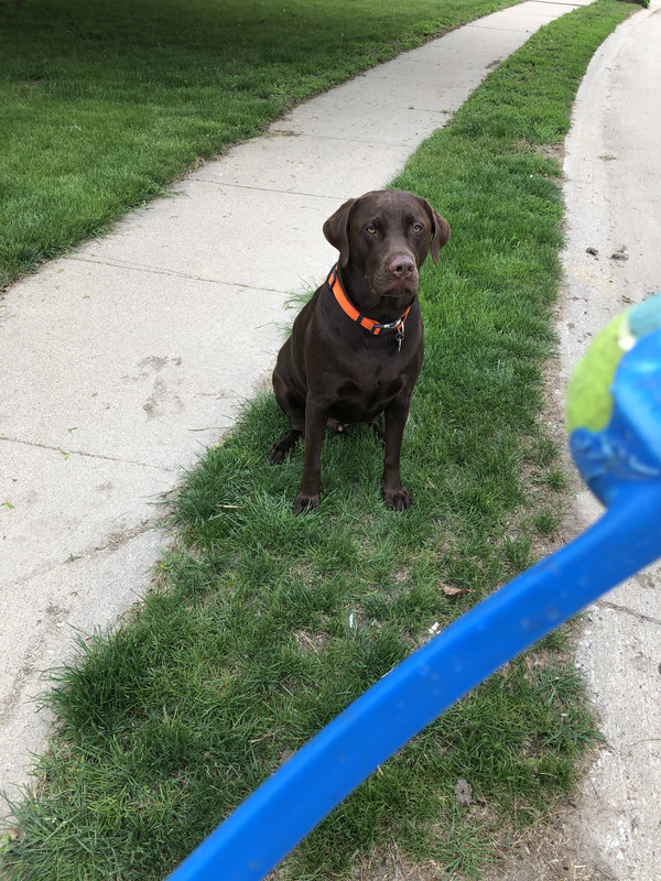 0BAE8557-69C4-4F9E-9A6A-B53F4771150E