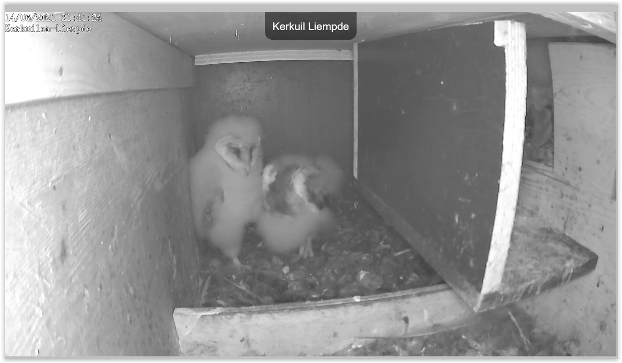 Screen Shot 06-14-21 at 09.41 PM 001