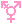pink-trans-symbol