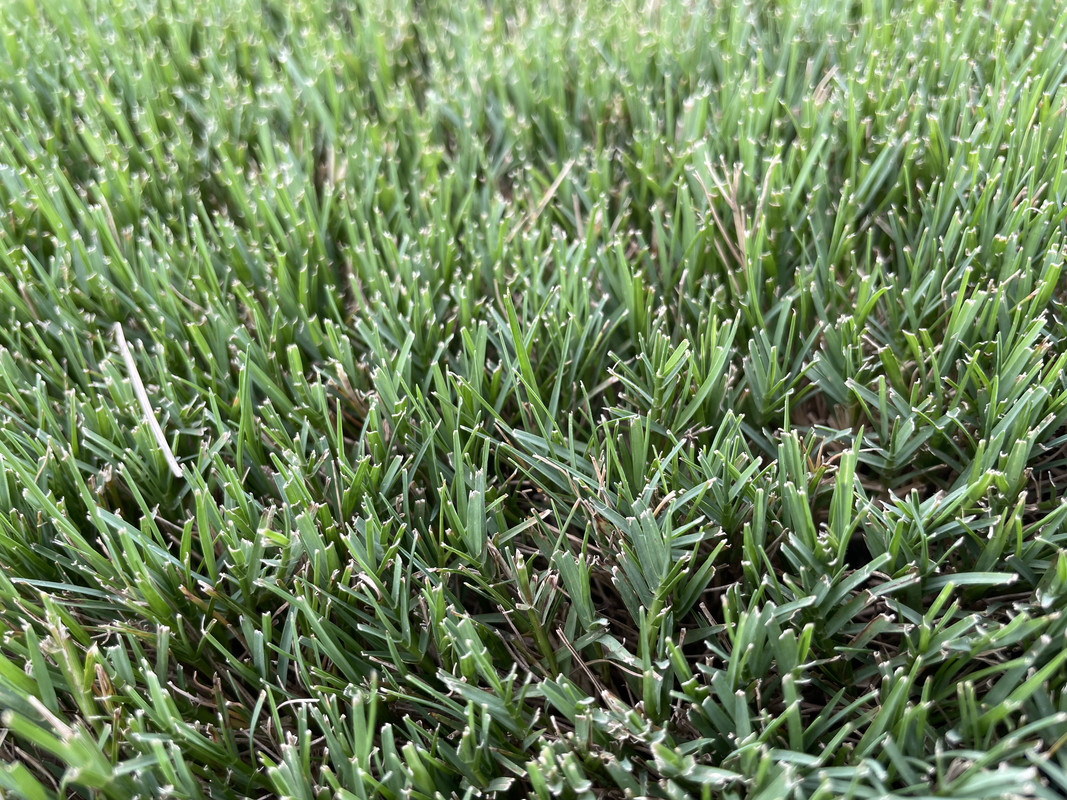 CE5A6BAD-82AD-418F-991D-D90483C98CE4