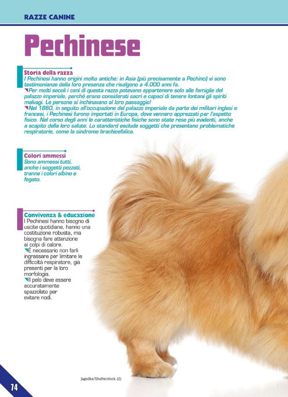 Foc Wil - Dic 2023 (11)