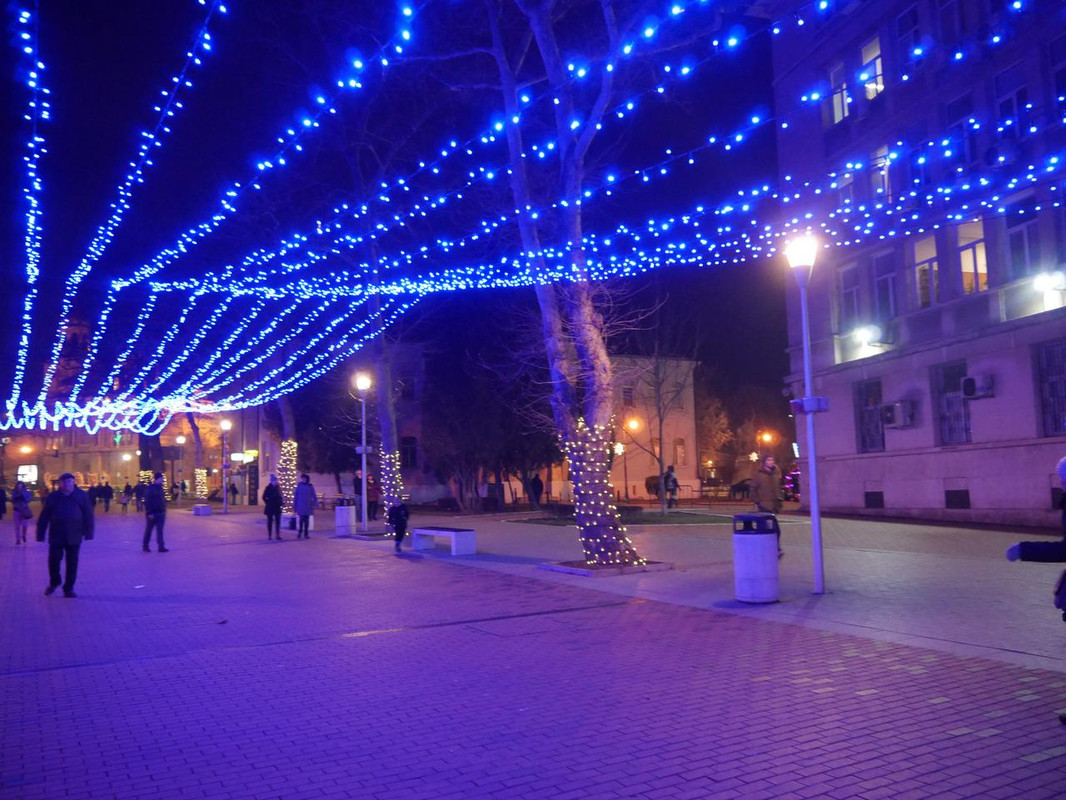 P1090086.jpg