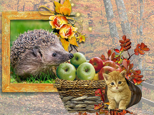 egel-met-appelmand