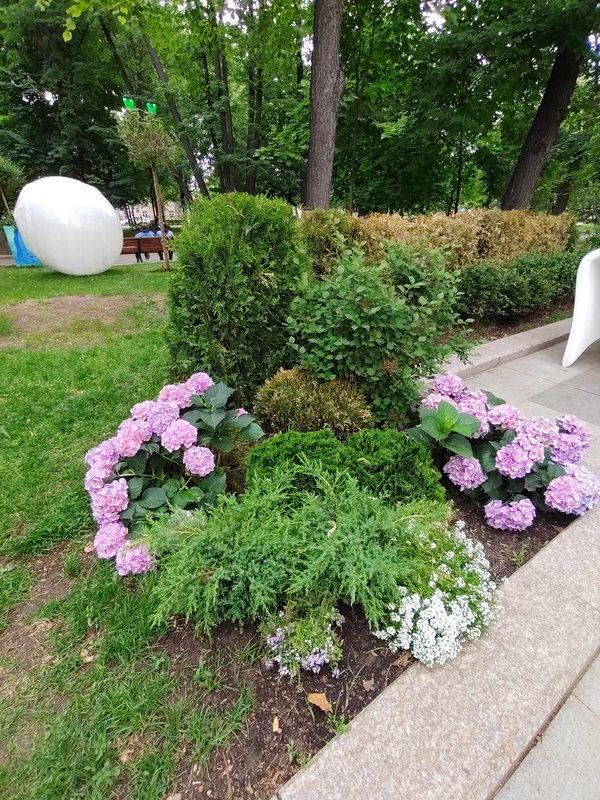 https://i.postimg.cc/9Qwpdzk2/26-IMG-20250611-151409.jpg