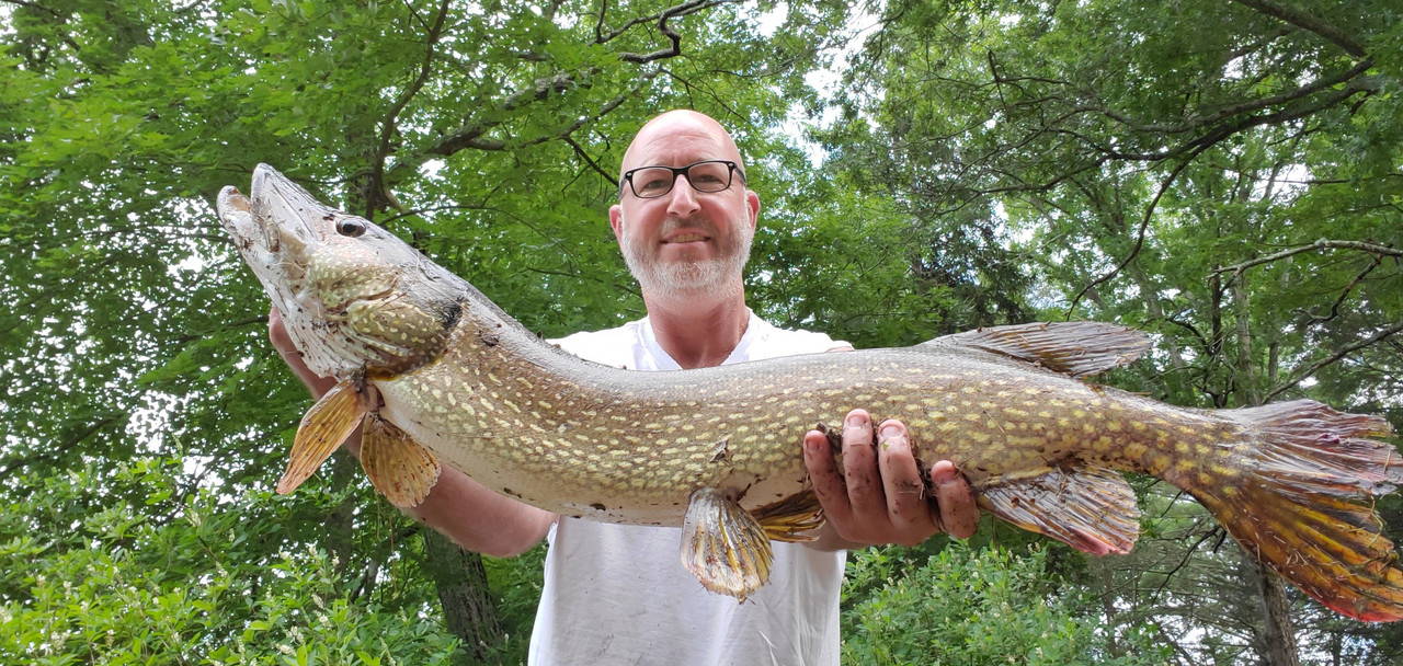 Pike4