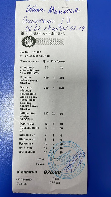 изображение_viber_2024-02-29_20-39-47-810