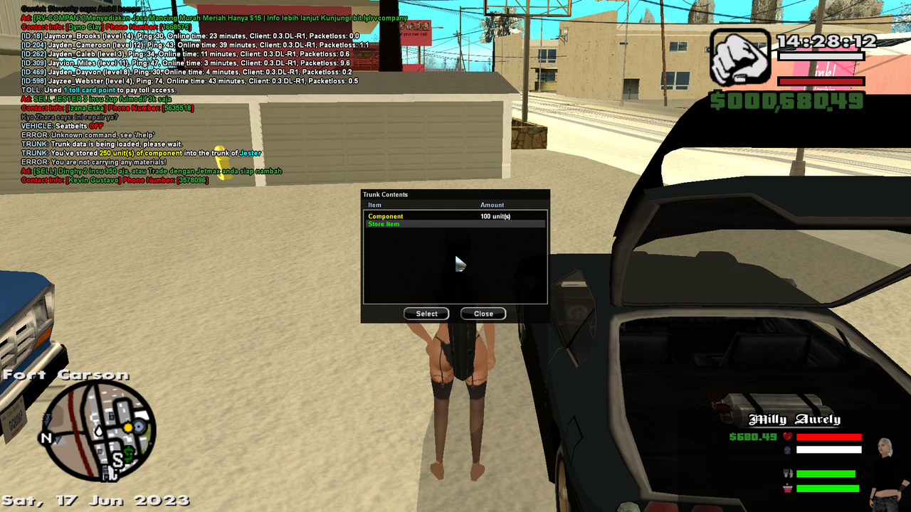 samp-17-06-2023-14-28-18.png