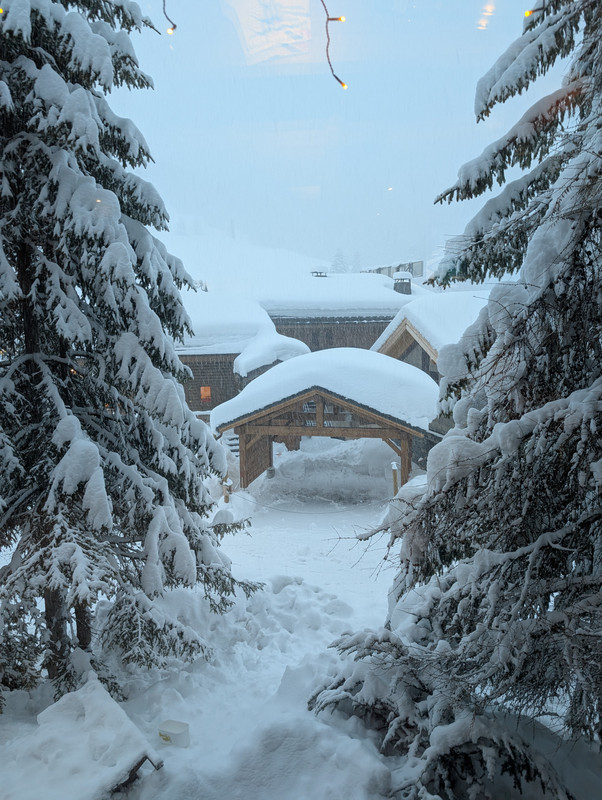 PXL 20260212 165012043