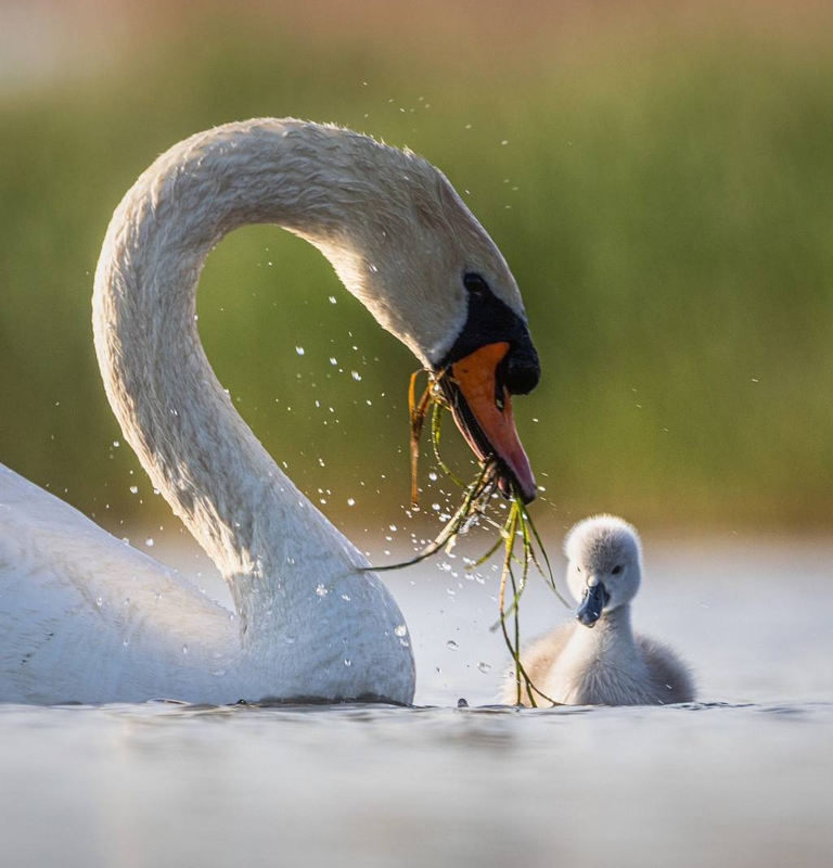 photoeditorsdk-export (3)