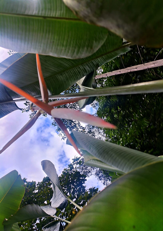 438060197_8693363424023497_7463117657561843344_n