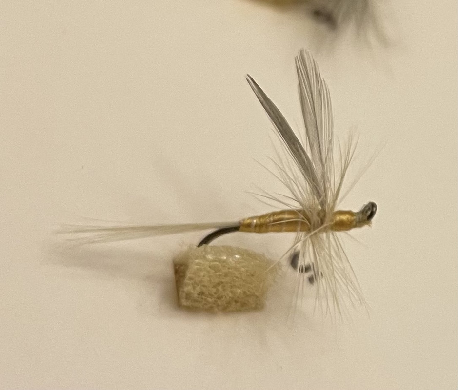 1F85ADBF-EF30-4E52-92F0-5BF19A2490BB