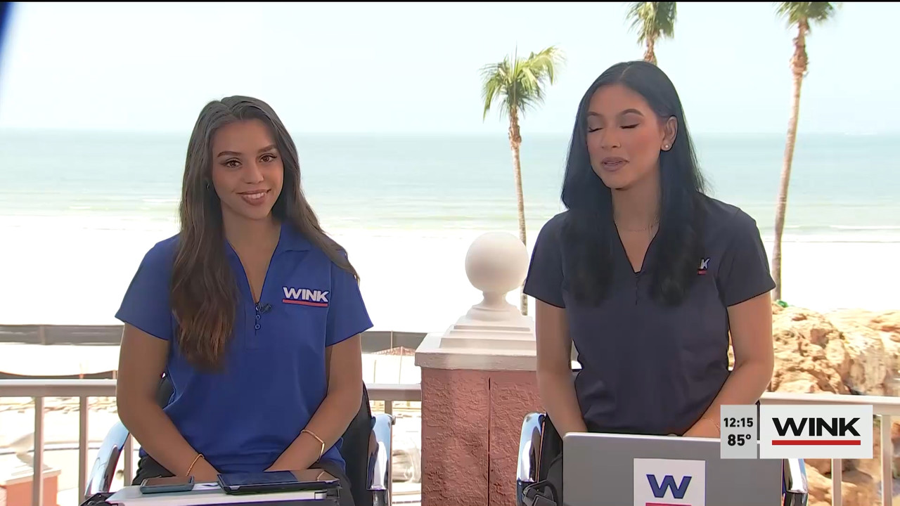 03.28 - 17.00.00 - The WINK Noon News  ᴺᵉʷ. Midday news update..ts_snapshot_22.26.819