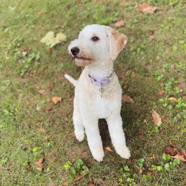 784DAF71-81B9-4C17-BB65-BB3ED1EF5F9A