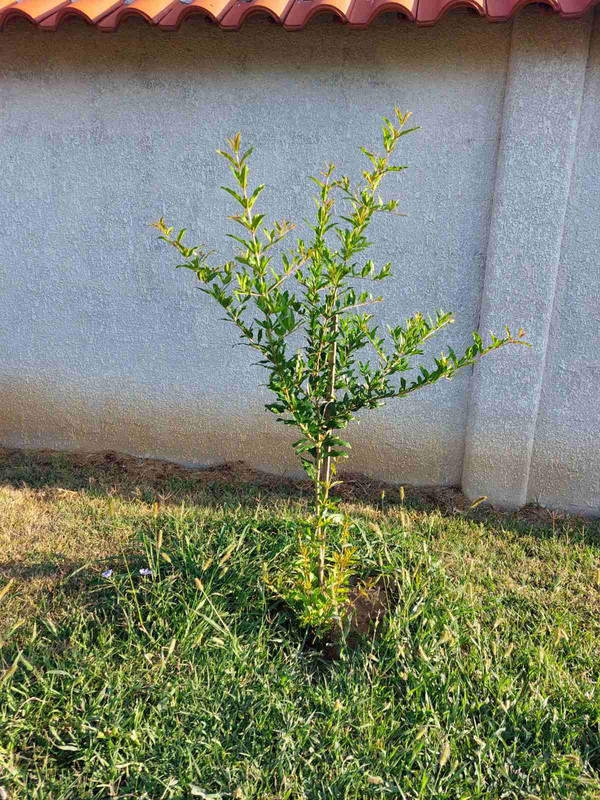 0-02-05-53277e3e0cd7d35778309fca68d44af0d751f195349b970b73dbac921cd5aae7_e9df06b03dfd182c