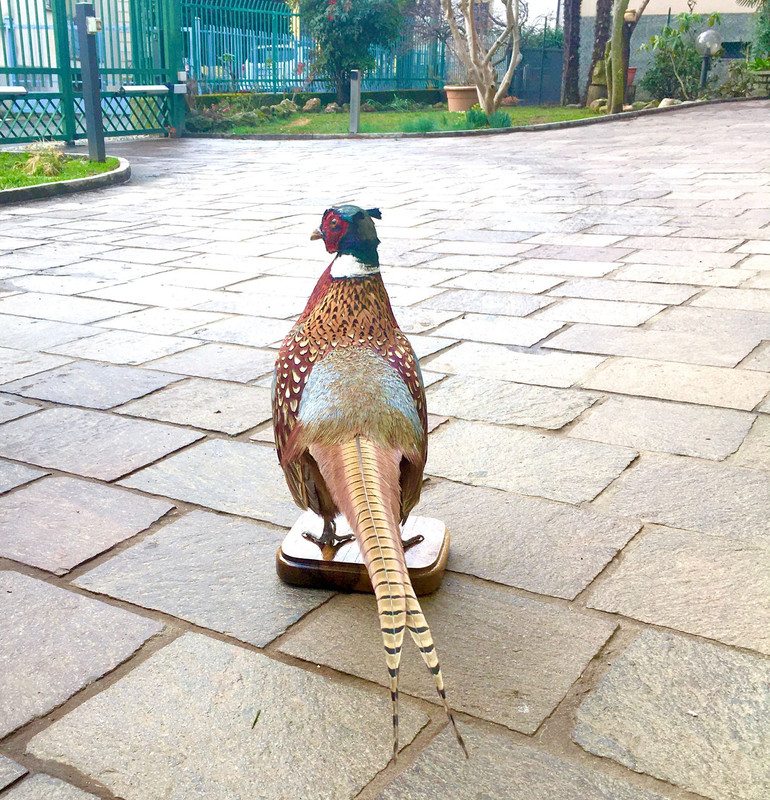 62EA4384-9D76-4B7D-936F-AABF7E503510