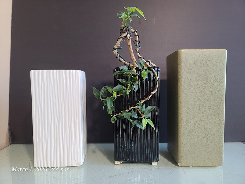 [Image: 20260301-144446.jpg]