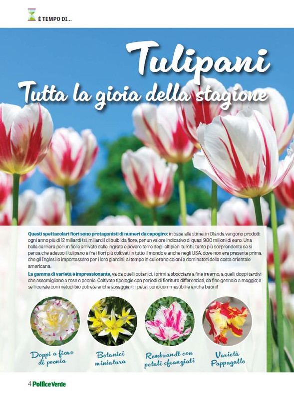 Pol Ver Mar 2024 (1)