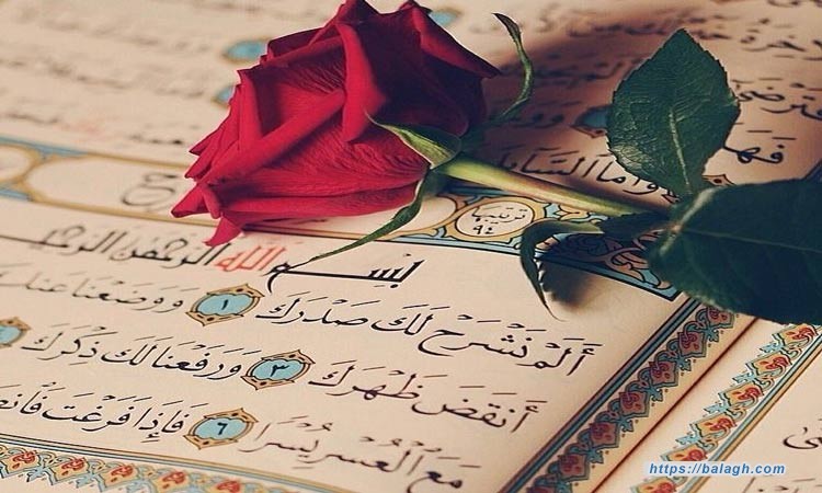 ●₪ مــــــزاجك "بصـــــورة" ₪● - صفحة 75 Alqem-fe-al-quran