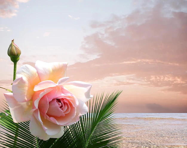 pink-flowers-green-palm-tree-plant-blue-sea-cloudy-pink-sky-panorama-water-wave-162585-1371.webp