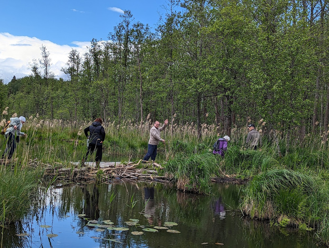 PXL_20230603_110704721