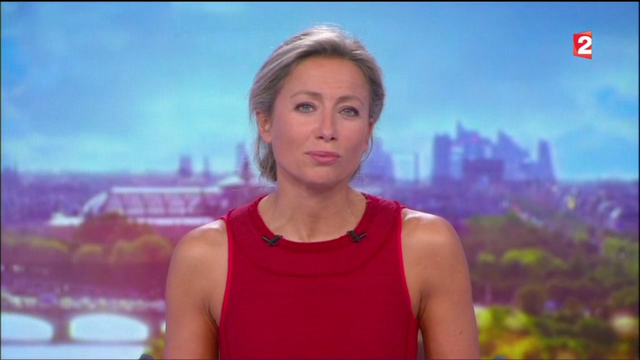 Anne-Sophie Lapix to edit 040917.mp4_snapshot_08
