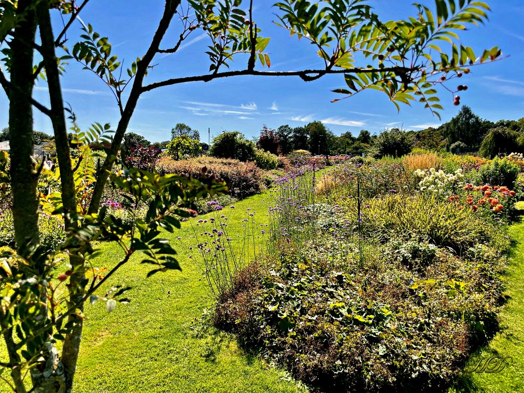 garden-centre-Tree-HD.jpg
